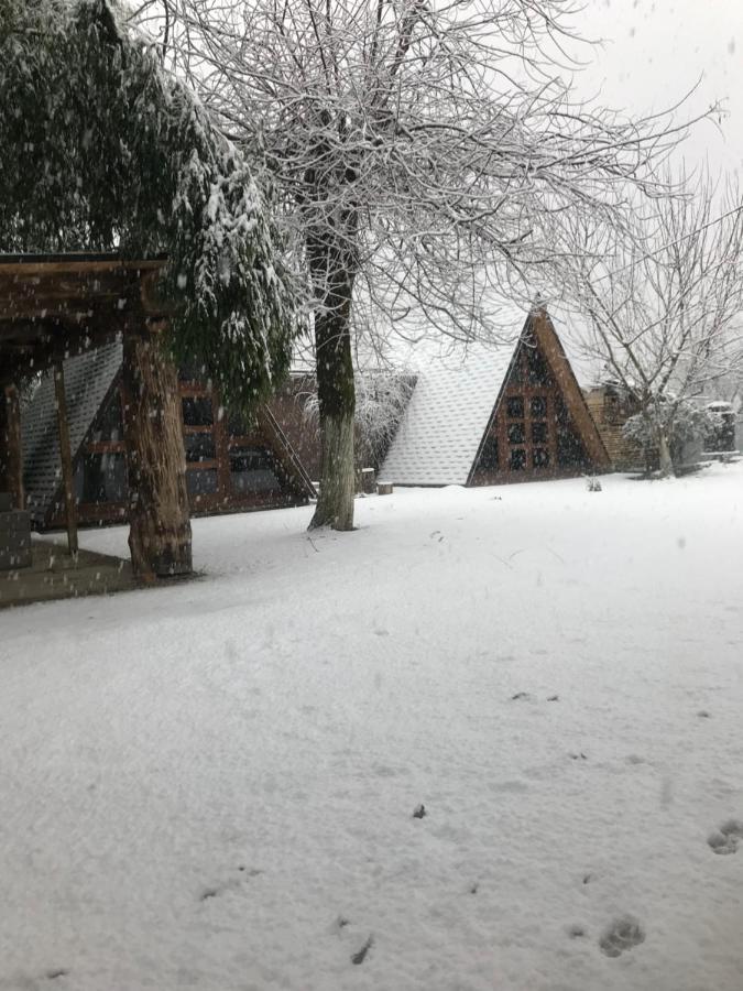 Бунгало Kheivani Εξωτερικό φωτογραφία
